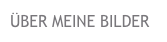 ÜBER MEINE BILDER
